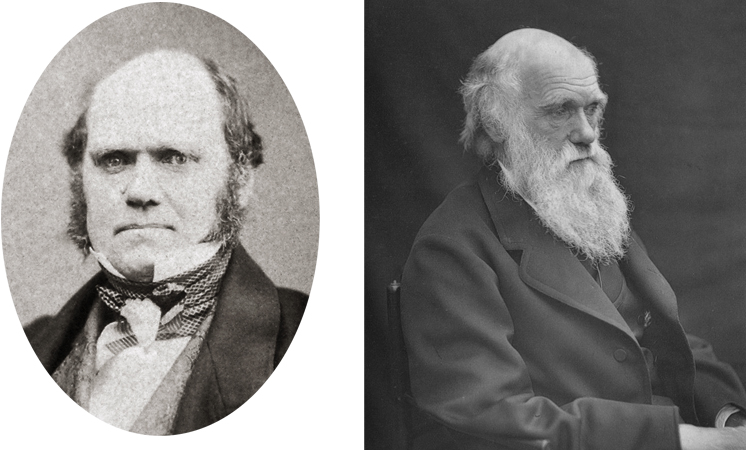 Чарлз Дарвин в 1855 и 1878 г.